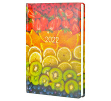 Щоденник датований А5 2022 Economix Е21839