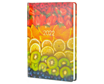 Щоденник датований А5 2022 Economix Е21839