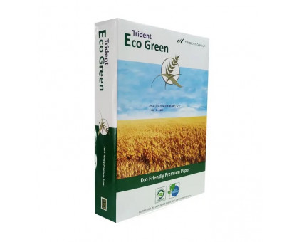 Папір офісний А4 75 Eco green 500арк