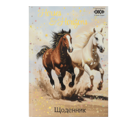 Щоденник шкільний В5, 40арк, тверд.обкл.,мат.ламінація+виб.УФ-лак і тисн.фольгой, ZB.13765 - (09-26)