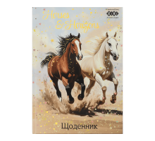 Щоденник шкільний В5, 40арк, тверд.обкл.,мат.ламінація+виб.УФ-лак і тисн.фольгой, ZB.13765 - (09-26)
